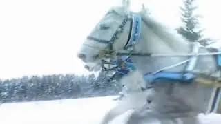 Выход  Деда Мороза и Снегурочки