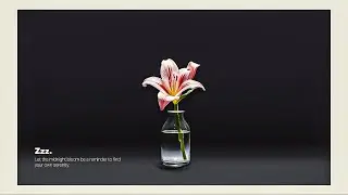🌸 LoFi Bloom | Relaxing Floral Beats (1 Hour)