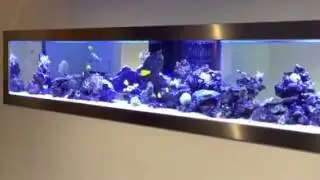 Heevis zeeaquarium van 420x90x70 cm.