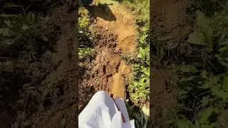 Baduga Hethai Amman Function | Sarasu Akka | Kotagiri #badugas #shortsvideo #shorts