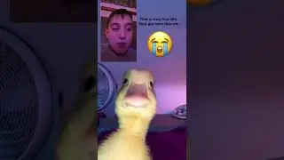 Mannn