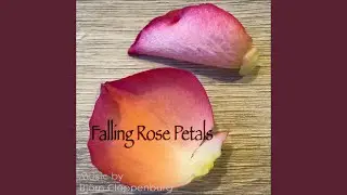 Falling Rose Petals