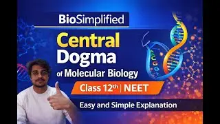 Central Dogma of Molecular Biology | Easy Explanation | Class 12 Biology | NEET & Boards By Parveen