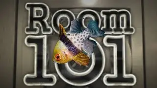 Banishing The 10 Most Boring Saltwater Fish! The Prestige Reef Dork Show Ep 102