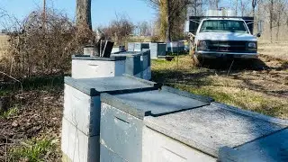 1st Day of Spring Hive Management- Colony Evaluation and Adding Deeps
