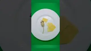 Cheese and mouse. Сыр и мышь. #stopmotion #animation #creative #mouse #art #digital