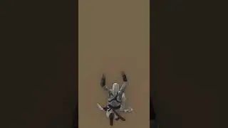 Altair bounces off of haybale and dies