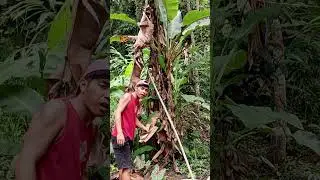 Mau ketawa takut dosa video lucu bikin ngakak hiburan warga 62 #lucu #funny #ngakak #videolucu #meme