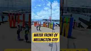 #highlights #travel #newzealandlife #wellington