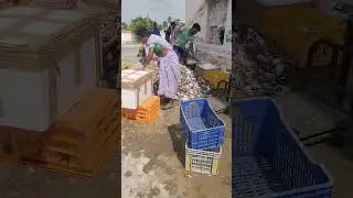 Chirala Beach Fish Market | chirala location | | Pasidi Telangana