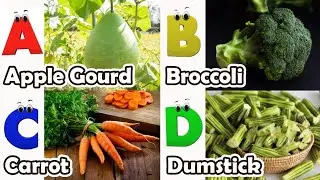 Vegetables ABC Song | Vegetables Alphabet Song | Phonics for Kids | Baby | Alphabet Letters