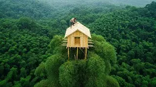 Surviving alone on a bamboo treetop, Bamboo House / King Of Satyr