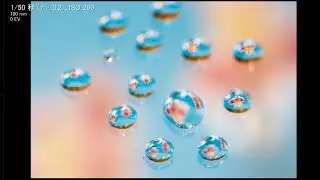 水滴撮影を楽しむ！