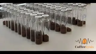 T&iacute;m 09 - CoffeLysis