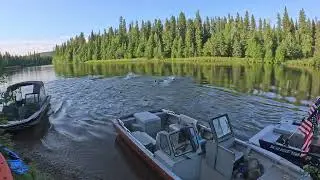 Summer time on the Goodpaster River  #alaska #river #cabin #flyhigh #extreme #extremesports #247 #1