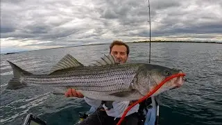 BIG Stripers On The Kayak - RI Spring Run Getting Hot