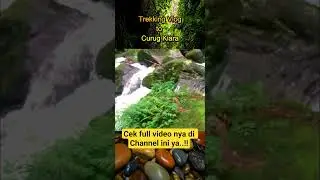Angel Waterfall #waterfall #trekking #travel #landscape #forest