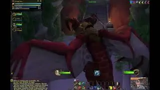 魔獸世界 副本 Ruby Life Pools - 晶紅生命之池 (Jan 30, 2026)