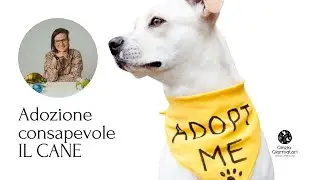 Adottare un cane, un gesto di consapevolezza