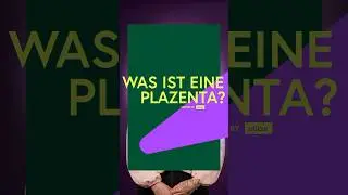 Plazenta - irgendwie schonmal geh&ouml;rt, ist der Mutterkuchen. Geht nur ein bisschen um snacken.🤰🎂