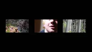 manuel oramas-video art