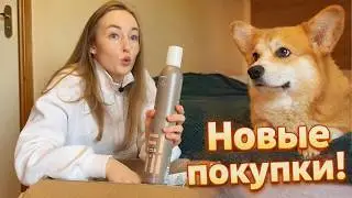 Купила все для идеальной укладки... 🎀🤍