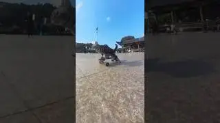 How Cats Learn to Skateboard. #catskills #catskating #cattraining