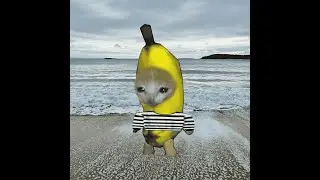 atomcat / ITG / Banana 160 / 16 / 160 bpm / 84.96%