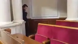 Верховная Рада Украины. Притула пародирует регионала Добкина