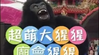 超萌猩猩-廟會大猩猩-屏東報導分享-猩猩-熱舞猩猩