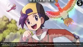 Route 38 ➤ Pok&eacute;mon HGSS &bull; Arrangement.