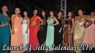 Launch Of Telly Calendar 2015