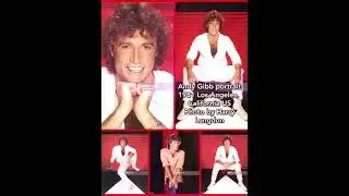 Tribute to The Gibb Brothers (Robin Gibb/Don't Cry Alone)