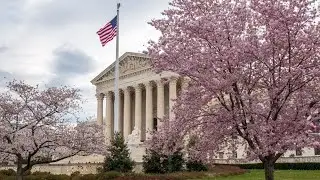 Knitting Nannas successfully challenge anti-protesting laws at the Supreme Court