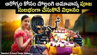 చొల్లంగి అమావాస్య పూజ 15 నిముషాల్లో చేసుకొనే విధానం | Chollangi Amavasya Puja demo | Nanduri Srivani