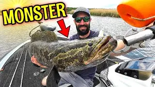 Fishing for MONSTER Northern Snakehead in Maryland - First DARGON of 2025!