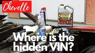 Where is the hidden vin?