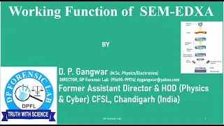 Working Function of SED EDXA: A short video