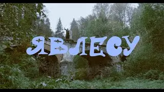 Юнсн — явлесу
