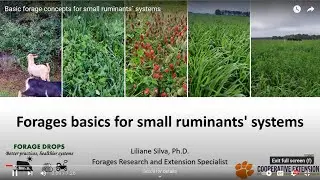 Basic forage concepts for small ruminants` systems