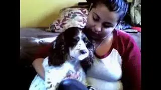 Help Me Save my Dog Sophie - GoFundMe