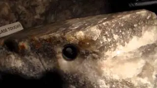 Salt Mine Muesuem