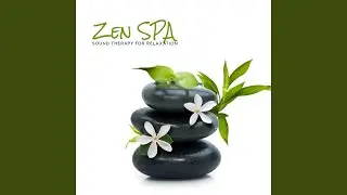 Basic Spa Music
