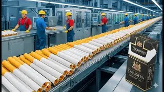 Production Process Of Millions of CIGARETTES from Harvest to Factory!