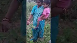 PLANT TREE FRUIT BIRDS ANIMALS IN GARDEN (DECE)