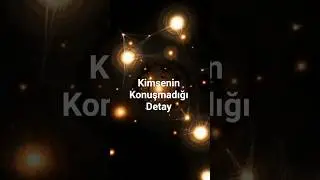 Kimsenin Konuşmadığı Detay
