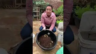 FAST and EASY Bokashi composting methods