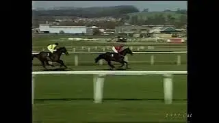 1997 Cathay Pacific Airways Handicap Chase (Mandarin chase)