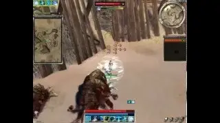 55 HP Monk an der Elonaspitze