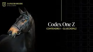 Codex One Z - Hengstpräsentation 2025 GER
